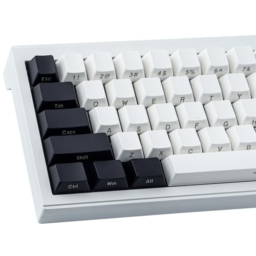 Touches de clavier ISO Tsungup en ABS side-lit noir et blanc pour layout 60%