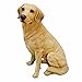 Golden Labrador Retriever Dog Statue