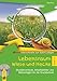 Produktbild Lebensraum Wiese und Hecke  Klasse 1/2: Stundenverläufe, Arbeitsblätter und Bildvorlagen für die Grundschule (Unterrichtsreihe zum Sofort-Loslegen)
