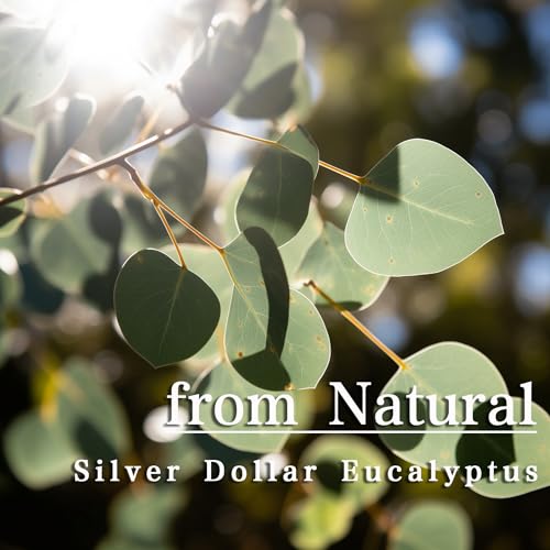 ZOMENT 12 pcs Real Dried Silver Dollar Eucalyptus Stems Leaves for Shower Made from Fresh Eucalyptus Centerpiece Table Decor Green Leaves for Wedding Home Vase Decor