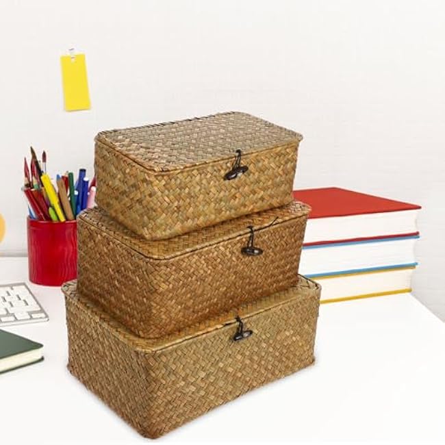 Rattan Storage Basket Makeup Organizer Multipurpose Container with Lid (S//L)