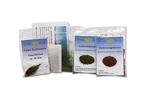 Triops King Sprookkreeften Streptocephalus sealii oertijdkreeften kweekaanzet 300 eieren
