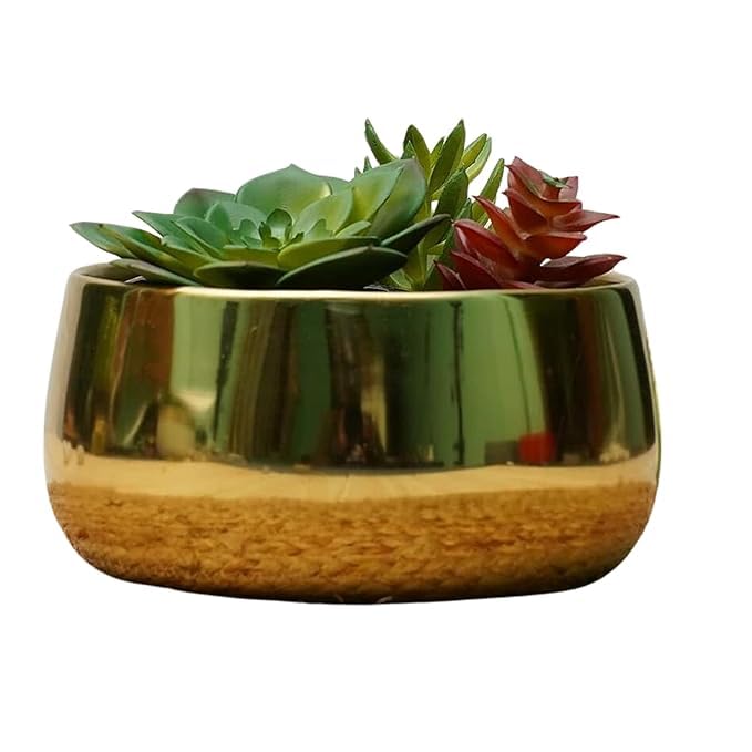 Nature at Homes Golden Glaze Matki Pot for Indoor, Living Room, Bedroom for Secculents and Small Plants for Gift Plant not Included |Pack of 1 (B0D7S3LD8Z) Amazon Price History, Amazon Price Tracker