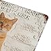 When Visiting My House Please Remember Metal Tin Sign 8x12 Inch Vintage Orange Tabby Cat Funny House Rules Wall Decor Plaque for Home Living Room