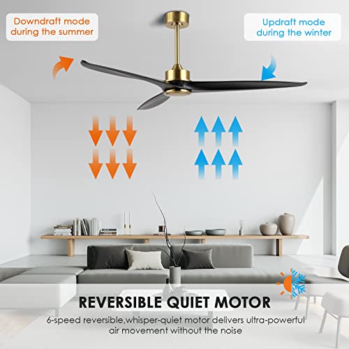 WINGBO 60 DC Ceiling Fan – No Light, 3 Reversible Wood Blades, 6-Speed Quiet Motor, Remote Control, Brass Finish with Black Blades