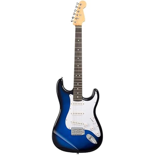 BLUEBERRY R-701 Electric Guitar Full Size