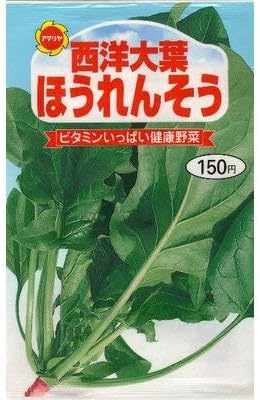 Amazon 西洋大葉ほうれん草 春 秋まき 241 野菜