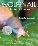 Wolfsnail: A Backyard Predator