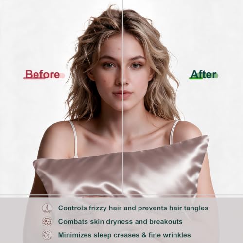Image of LYSHIN Silk Pillow Cases Queen Size with Hidden Zipper, Taupe | 19 Momme Mulberry Silk Pillowcase for Skin and Hair, Anti-Acne, Hypoallergenic, Cooling, Beauty Sleep, Gifts for Women