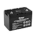 Produktbild Renogy 12V 100Ah LiFePO4 Smart Lithium Solarbatterie mit Eigenerwärmung Bluetooth BMS Zyklenlebensdauer 4000 und max.Entladestrom 100A für RV, Wohnmobil und Camper, 10 Jahre Batterielebensdauer