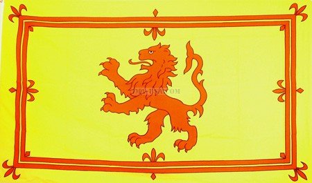 Stampa su legno Vins, multicolore 24 x 35 cm | Leroy Merlin