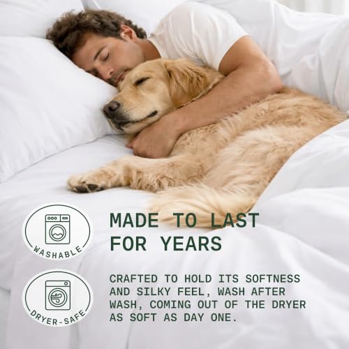 Image of TRUE BAMBOO Sheets Set Full Size - Silky Soft & Cooling - White