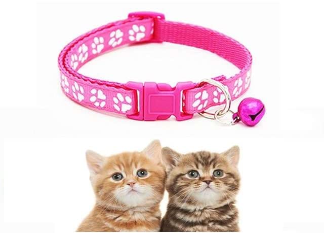 RvPaws Dog, Puppy, Cat & Kitten Collar Buckle Paw Print Adjustable Pet Collar with Bell, Nylon Collar Paw Printed Belt for Neck (X-Small Size 10 MM, Pink) (B0BY8J9P4B) Amazon Price History, Amazon Price Tracker