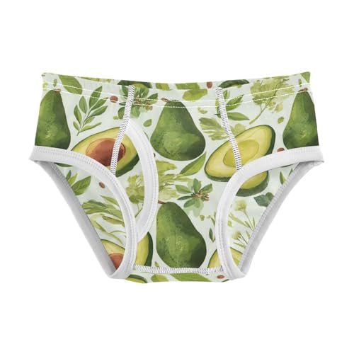 Wusikd Avocado Boys' Underwear Cotton Boys Briefs Soft Toddler Underwear 2T