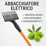 Generico B0FPMT7JKK lato 2