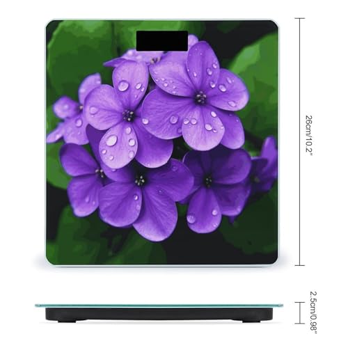Báscula digital para baño con pantalla LCD grande miniatura 2
