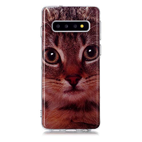 TPU Crystal Clear Cover for Samsung S10e,Transparent Soft Colorful Flexible Plastic Durable Rubber with Creative Shockproof [Drop Protection][Exact-Fit] Back Bumper