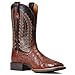 Ariat 1004030411.5D Mens Quantum Primo Fqo Antq TBC/Thndr BRN 200 - Brown 11.5D