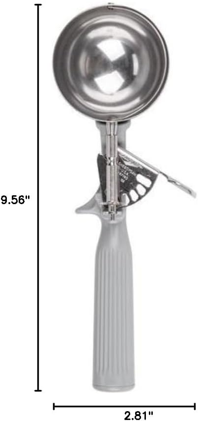 . Stainl Steel Disher, Gray, Size