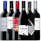 ヴィネクシオ 銘醸地 チリ 赤ワイン 6本 セット ソムリエ厳選 750ml×6 ワインセット wine