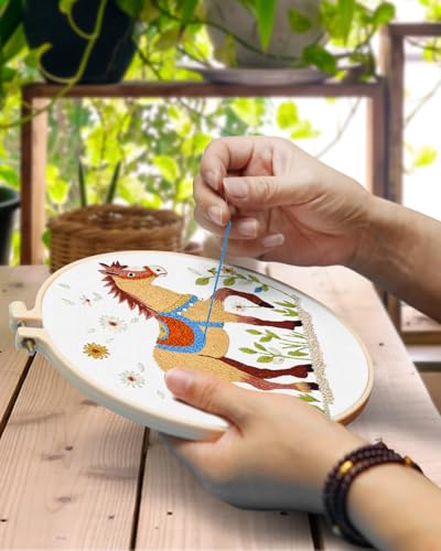 Image of TINDTOP Embroidery Kit for Adult, 3 Pack Embroidery DIY Starter Kit | with Stamped Patterns, Hoop, Tools, Colorful Threads with Needles, Instructions
