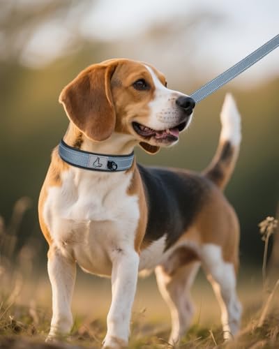 Joytale Halsband Hund, Weich Hundehalsband Gepolstert Neopren Hunde Halsband für Mittelgroße Hunde, Nylon Reflektierend Breit Halsbänder, Grau