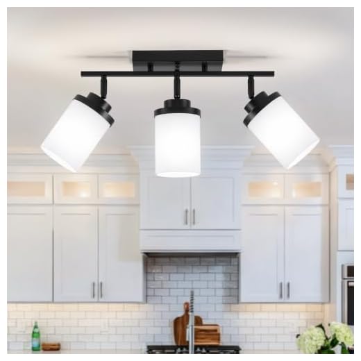 Dvnctz Modern Semi Flush Mount Ceiling Light, Black, 3-Light