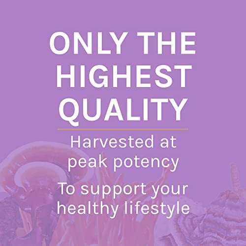 Host Defense, Lion's Mane Powder, Supports Mental Clarity, Focus And Memory, Mushroom Supplement, 3.5 Oz, Plain #TOP7