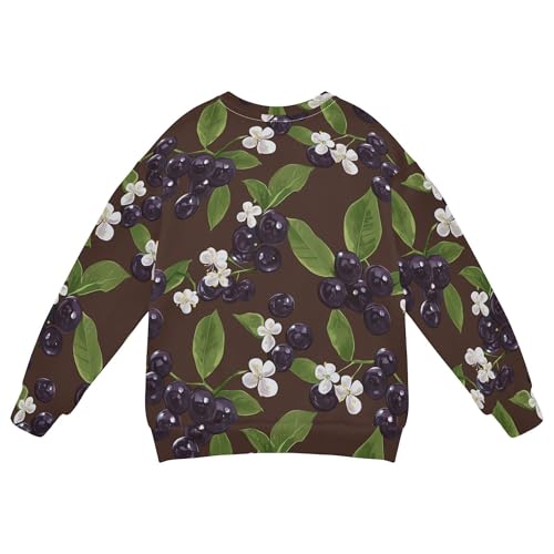 JUNZAN Saskatoon Berry Fruit Brown Big Boys Sweatshirts Hoodies Long Sleeve Outerwear for Kids Party 4T2