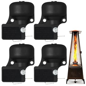 dump switch meaning on propane heater