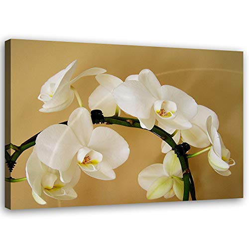 Tableau sur toile XXL fleurs déco moderne orchidées beige 100x70cm