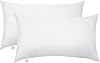 Throw Pillow Inserts 30 x 50cm 12 x 20, Cushion Inserts, Hollowfibre Filling for Sofa, Bedding Cushion Pads Pack of 2