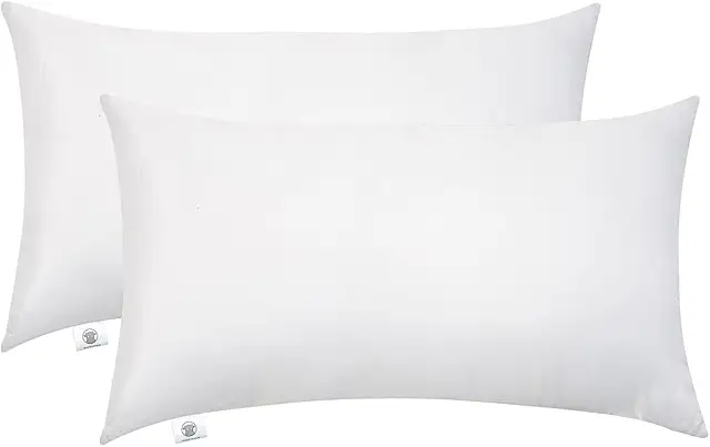 Lot de 2 Coussins Garnissage 50x70 cm - Oreillers Intérieur à Recouvrir