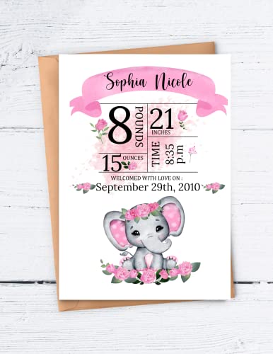 Personalized Baby Birth Stats Wall Art, Baby Gift Girl Nursery