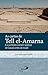 As Cartas de Tell el-Amarna: E o Contexto Social e Politico de Canaã antes de Israel (Arqueologia da Bíblia)