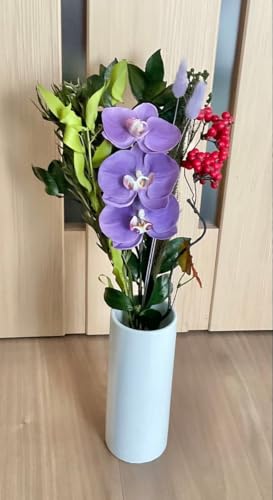 vU[uht[ ԊȂ A[eBVtt[ Ӓ AW CeA 