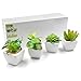 Produktbild OFFIDIX Künstliche Pflanzen für Home & Office Dekoration Faux Blume mit Keramiktopf 4pcs / Set Indoor Fake Grüne Topfpflanze (Square)