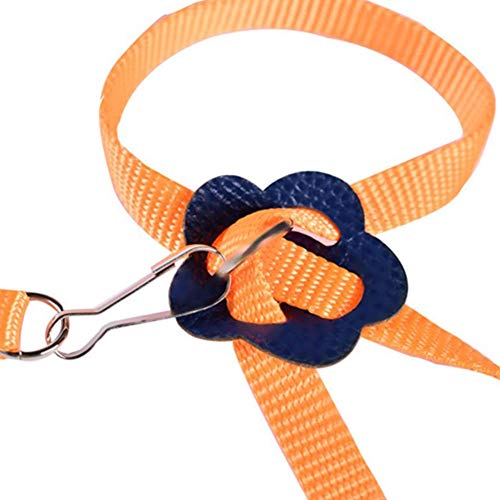 DXQDXQ Reptielen harnas harnas riem verstelbaar 1,2 m lijn en harnas gemaakt van nylon voor kleine huisdieren om te… - Image 5