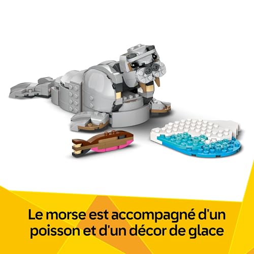 Animaux sauvages: le rhinocéros majestueux et les oiseaux - vue 7