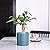 Pageqiu Plant Pot Indoor -Ceramic Planters Modern Flower Pot with Drainage Hole and Plug