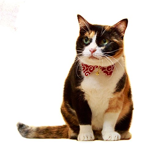 Amazon | 【 猫雑貨 招福 】 猫 首輪 唐草 襟 セーフティ