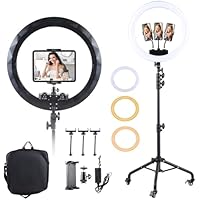 Large Ring Light with Stand for iPhone iPad, 19" Professional Ring Light Tripod with Wheels, 3 Phone Holders & 1 iPad Holder, Big Ringlight Rolling for Photography, YouTube, TikTok, Video Recording