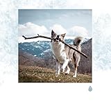  Détente Brillante Vintage dans le Jardin