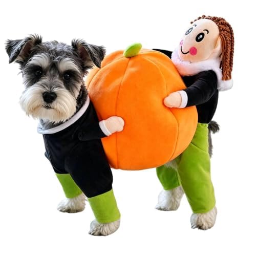 Dog Halloween Costumes Funny Dog Pumpkin Costume Halloween Outfits，S