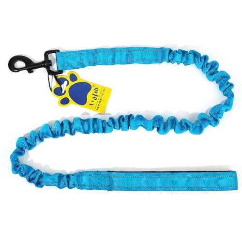 Image of A+a Pets' Short Bungee Leash | Traffic Lead | for Training & Better Control (BBlue)