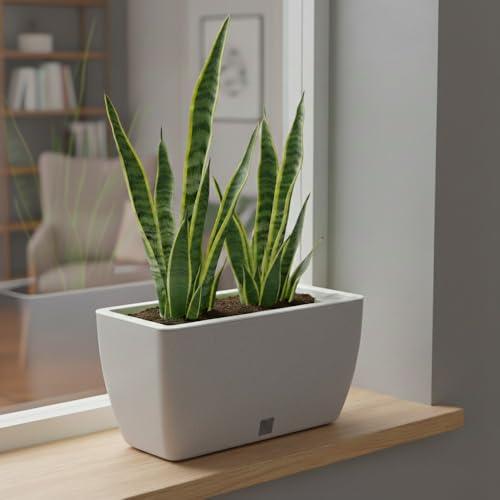 Image of GARDENCIA Self Watering Flower Pots for Outdoor Indoor Gardening /Rectangle Big Plant Pot with Polypropylene UV Material /Decorative Modern Gamla (Recta Big Stone White, Pack of 6)