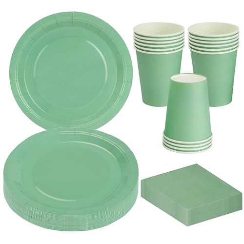 MestectPET 56 Piezas Vajilla Verde Salvia para Fiestas, Platos Vasos y Servilletas de Papel para 16 Invitados, Ideal Juego de Vajilla para Cumpleaños Bodas Aniversario Baby Shower Barbacoas