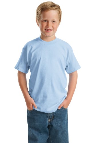 Hanes Youth Comfortblend Ecosmart Tee (Light Blue) (M)
