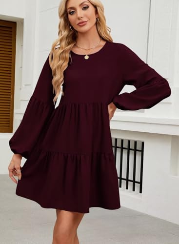 QACOHU Falll Dresses for Women 2025 Crew Neck Long Lantern Sleeve Casual Loose Flowy Swing Shift Dress3