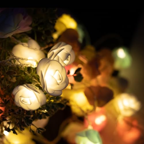 Image of Desidiya Rose Flower LED Curtain String Diwali Lights for Decoration For Home, Bedroom | Fairy Lights for Diwali, Christmas, Birthday, Wedding & Party | Home Decor Plastic Flower Design Curtain Light